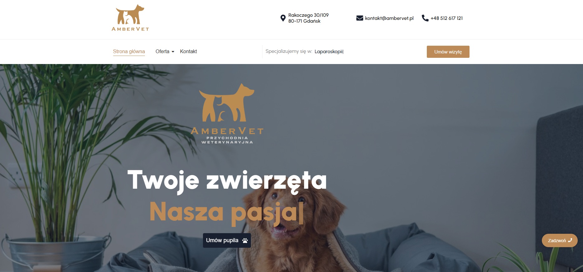 ambervet.pl